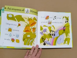 Lote de libros para empezar a leer + pictogramas