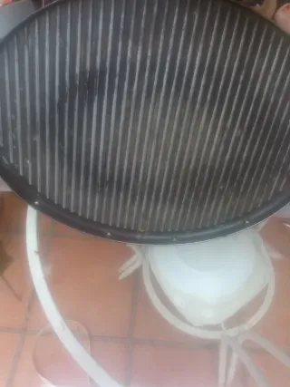 Plancha eléctrica ovalada