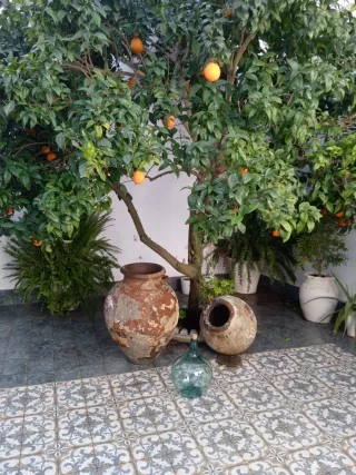 Tinajas antiguas de barro