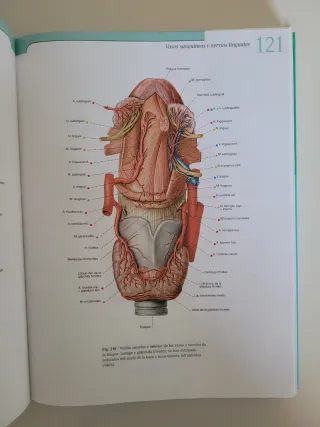 Sobotta Atlas de Anatomia Humana - Tomo 1 (Span...