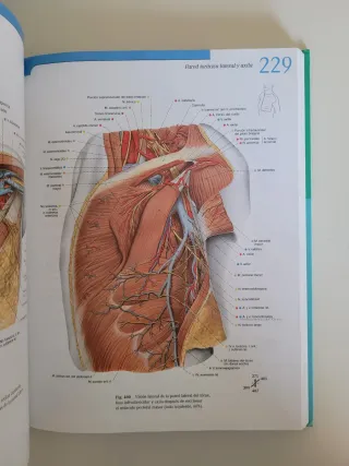 Sobotta Atlas de Anatomia Humana - Tomo 1 (Span...
