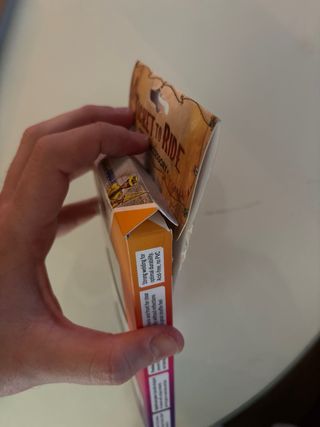 Ticket to Ride Fundas Cartas Art Sleeves