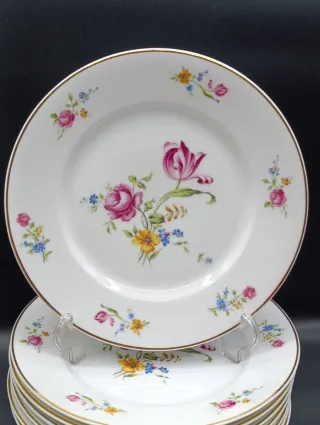 Set platos porcelana Limoges Estilo Dresden