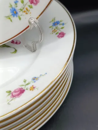 Set platos porcelana Limoges Estilo Dresden