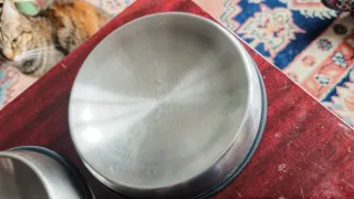 2 Comederos Acero Inoxidable Dr. Catsby