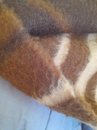 Coperta Singola Faalberg Odone/ Lana