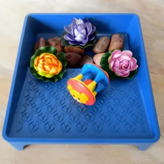 Pack para loros/Ninfa Carolina/agapornis