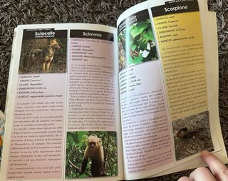 Bambini Libro Animali + Libro stagioni