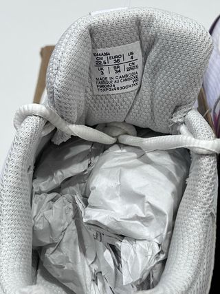 Zapatillas tenis pádel Asics Gel-Dedícate 8 Padel