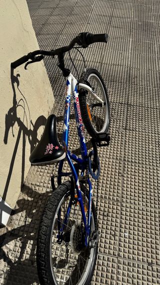 Bicicleta niño 20 usada buen estado