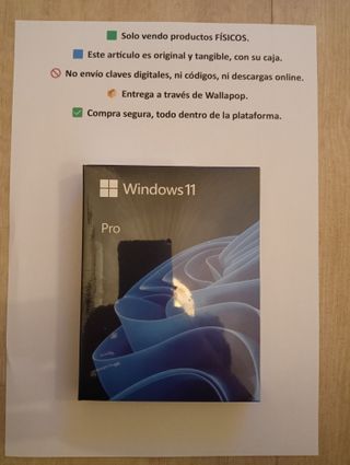 windows 11 pro spagnolo USB