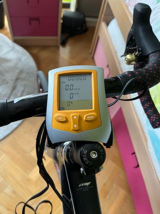 Rodillo Tacx Flow Trainer con Skyliner.