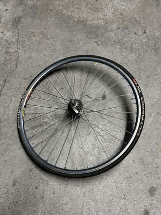 Rodillo Tacx Flow Trainer con Skyliner.