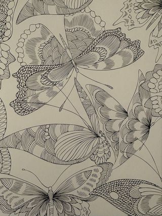 El maravilloso mundo tropical