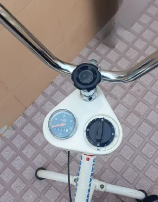 Bicicleta estática CONOR con remo