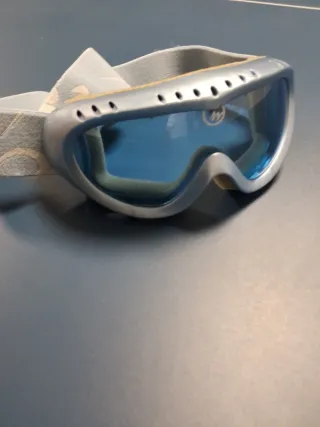 Gafas de esquí plateadas y azules