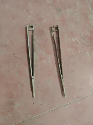 Trepadoras para muros