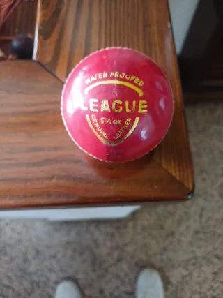 Palla da cricket LEAGUE Water Proofed