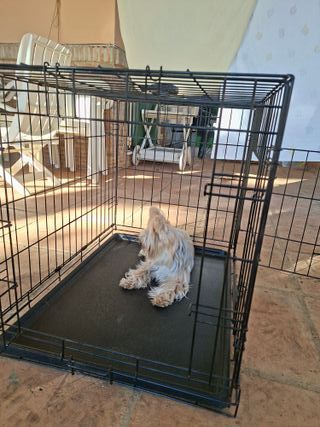 Jaula para perros pequeños