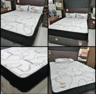 canapes canapes canapes canapes canapes canapes