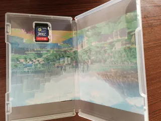 Zelda Echoes of Wisdom Nintendo Switch