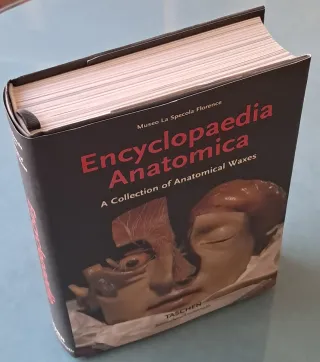 Encyclopaedia Anatomica, a collection of anatomica
