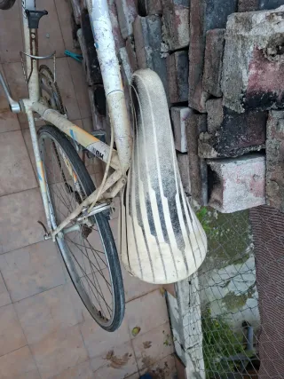 Bicicleta BH Vento Antigua