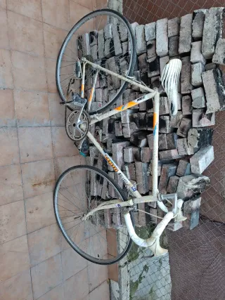 Bicicleta BH Vento Antigua