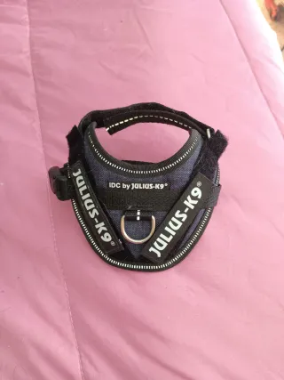 Arnés Julius-K9 para perro pequeño