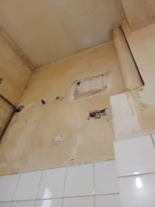 Servicio de pintura y limpieza