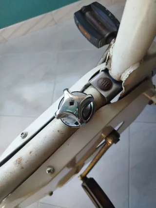 Bicicleta Estática Vintage