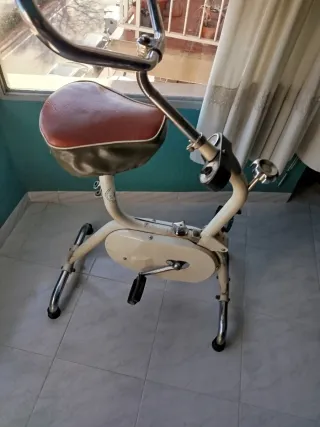 Bicicleta Estática Vintage