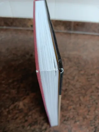 En busca del Resplandor. Libro dos