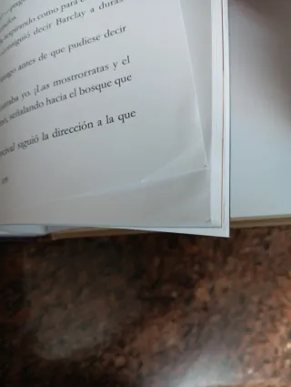 En busca del Resplandor. Libro dos