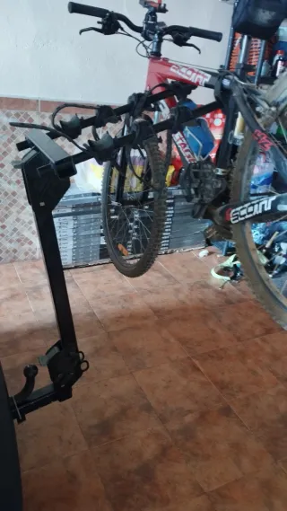 Portabicicletas Thule Bola