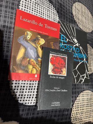 LIBROS ESCOLARES Y DE LECTURA