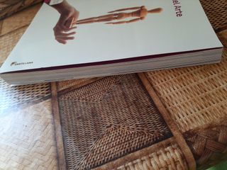 Historia Del Arte: Libro