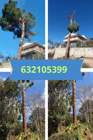 Poda professional i neteja de jardins