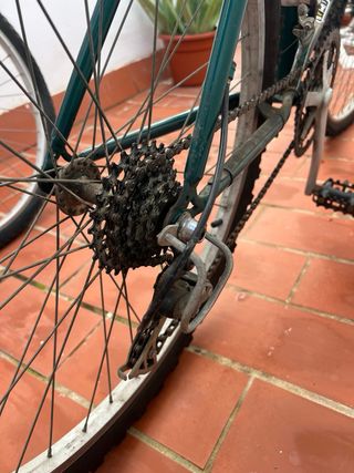 Bicicleta Orbea Cervino Montaña