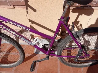 Bicicleta Morada Universal Rolling Rock