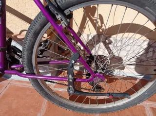 Bicicleta Morada Universal Rolling Rock