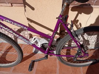 Bicicleta Morada Universal Rolling Rock