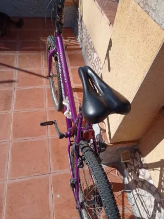 Bicicleta Morada Universal Rolling Rock