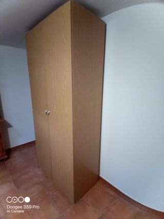 Armario 2 puertas madera 100x216x50