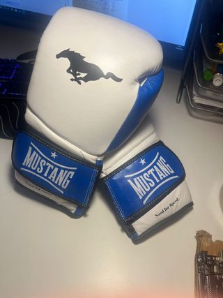 Guantes de boxeo Mustang 14 oz