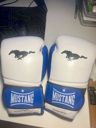 Guantes de boxeo Mustang 14 oz