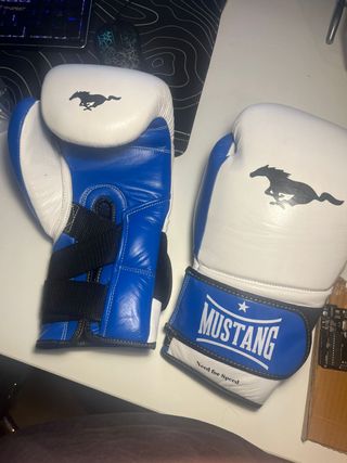 Guantes de boxeo Mustang 14 oz