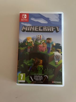 Minecraft Nintendo Switch