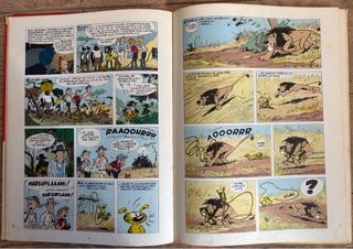 Espiru y los gorilas