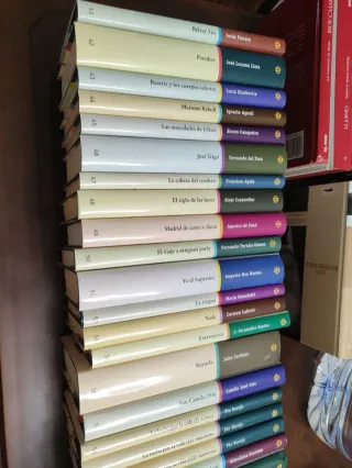 Colección de 140 libros novelas siglo XX El Mundo